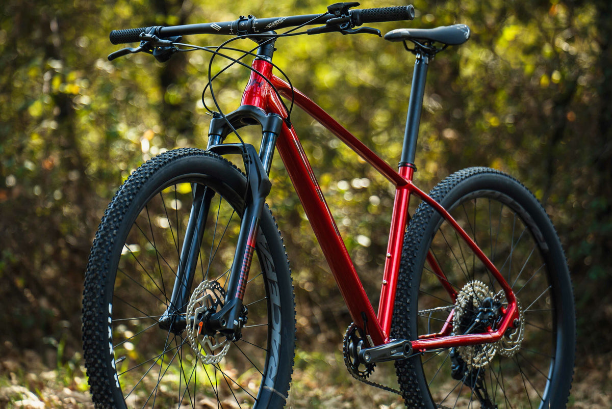 Bicicleta Mountain Bike Expert 4.0 Aro 29 PREVENTA