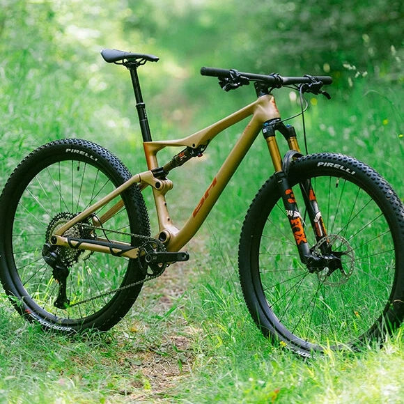 Lynx Race